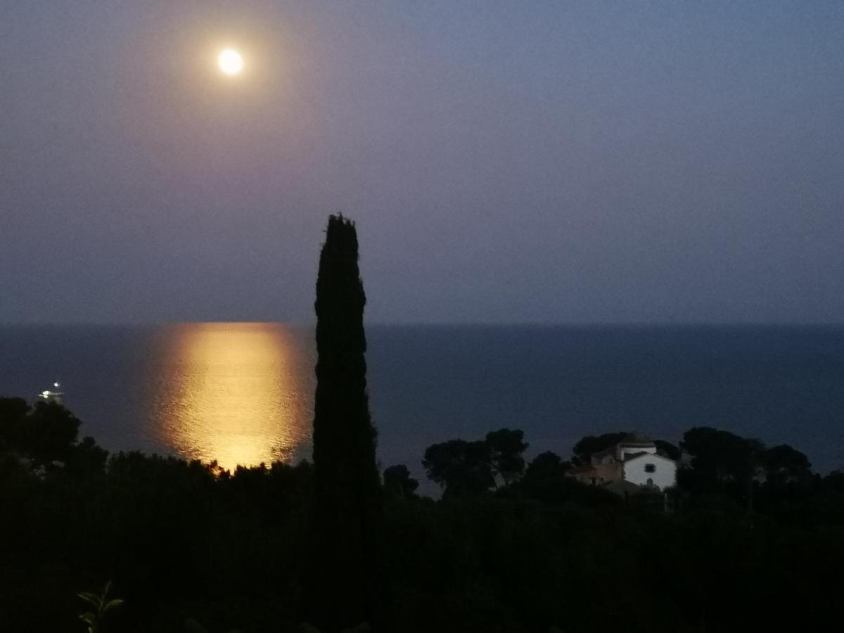 Apartamentos Famara Lloret de Mar Eksteriør billede