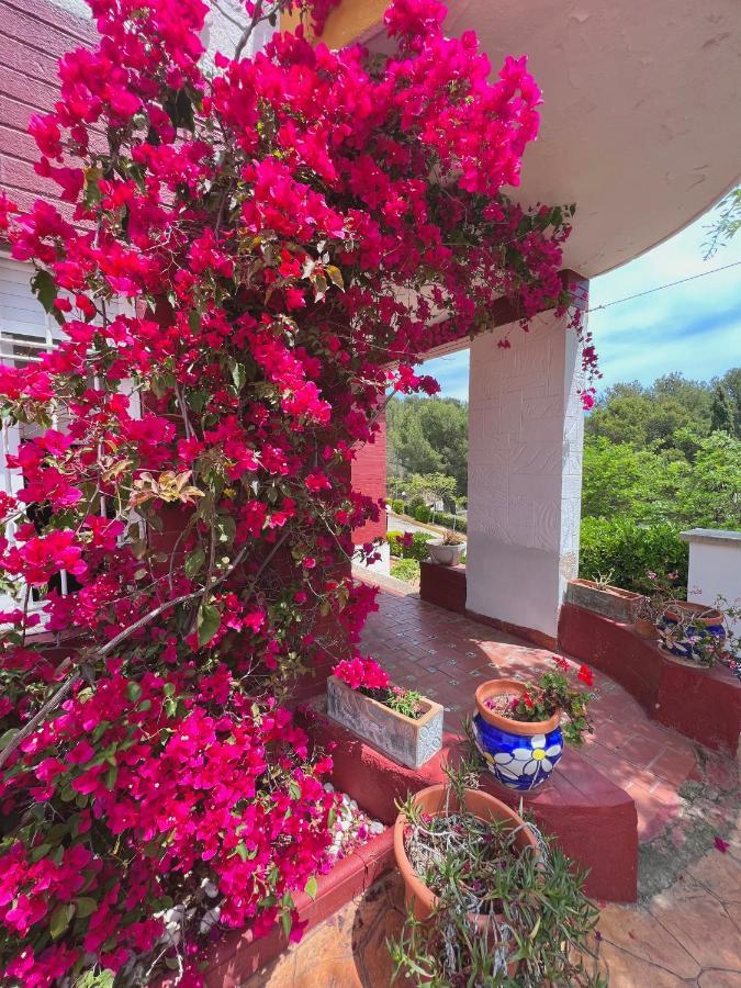 Apartamentos Famara Lloret de Mar Eksteriør billede