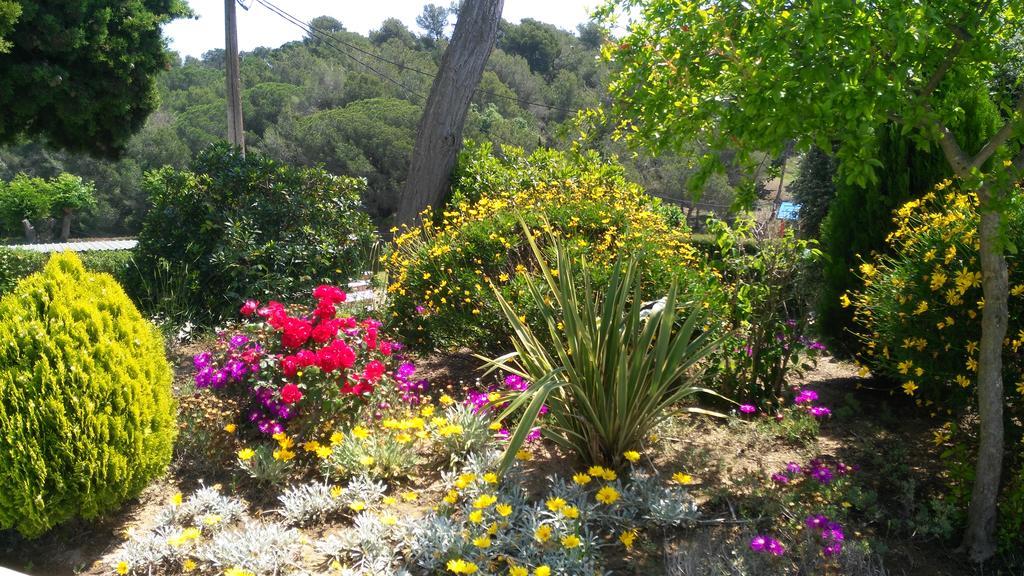 Apartamentos Famara Lloret de Mar Eksteriør billede
